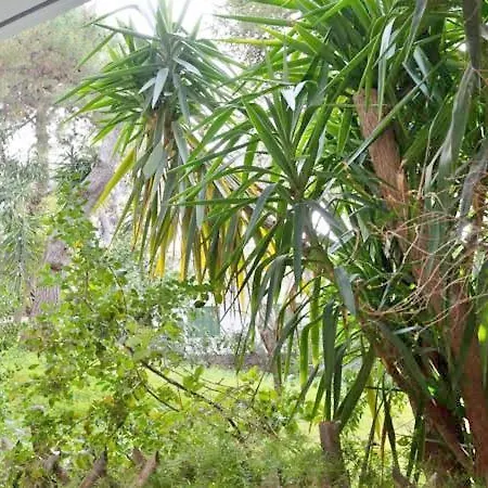 Vouliagmeni'S Secret Garden Near The Sea Apartment Athens Exterior photo
